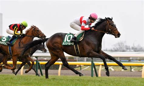 japan cup betting|HORSE RACING SPECIAL 2022 .